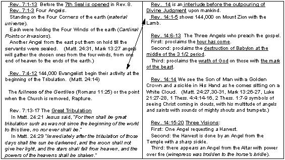 Snap Shot Phase Two - Revelation 7 and 14