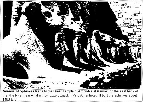 Closeup picture of the Ram-Headed Sphinxes