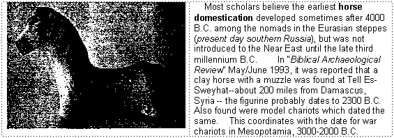 Image of the earliest Horse