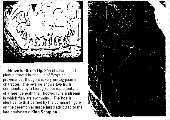 King Scorpion Carvings