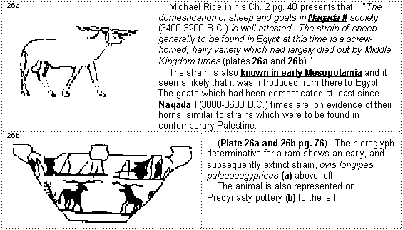 The Ram Of Naqada One