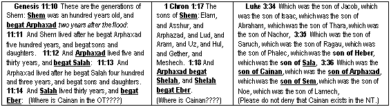 Genesis 11 verses Luke 3:36 about the missing generation