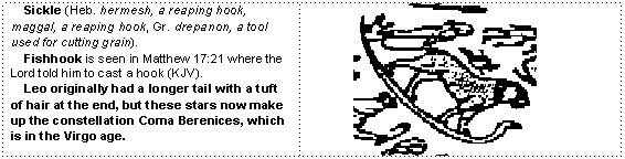 The Tail of Leo (Coma Berenices)