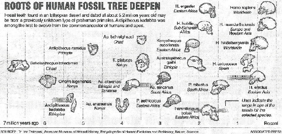 Dr. Ian Tatersall, American Museum of Natural History, 
Encyclopedia of Human Evolution and Prehistory; Nature; Science